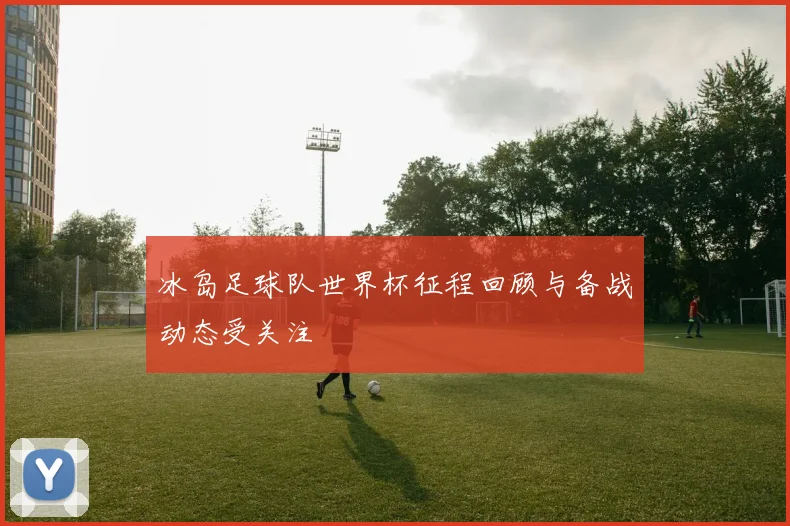冰岛足球队世界杯征程回顾与备战动态受关注